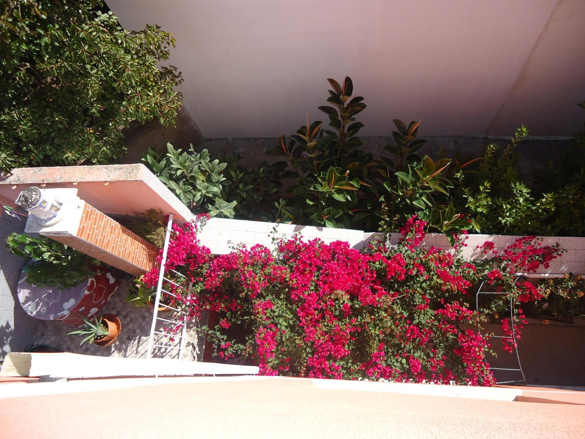 פיגואיירה דה פוז Hotel Aviz מראה חיצוני תמונה